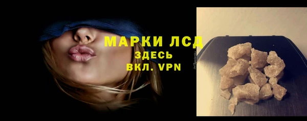 стаф Нефтегорск