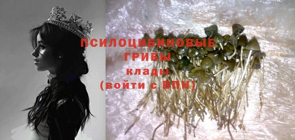 mdpv Нея