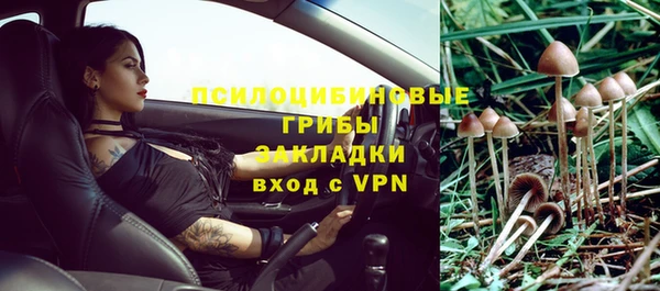 стаф Нефтегорск