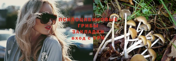 mdpv Нея