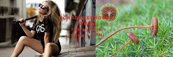 mdpv Нея